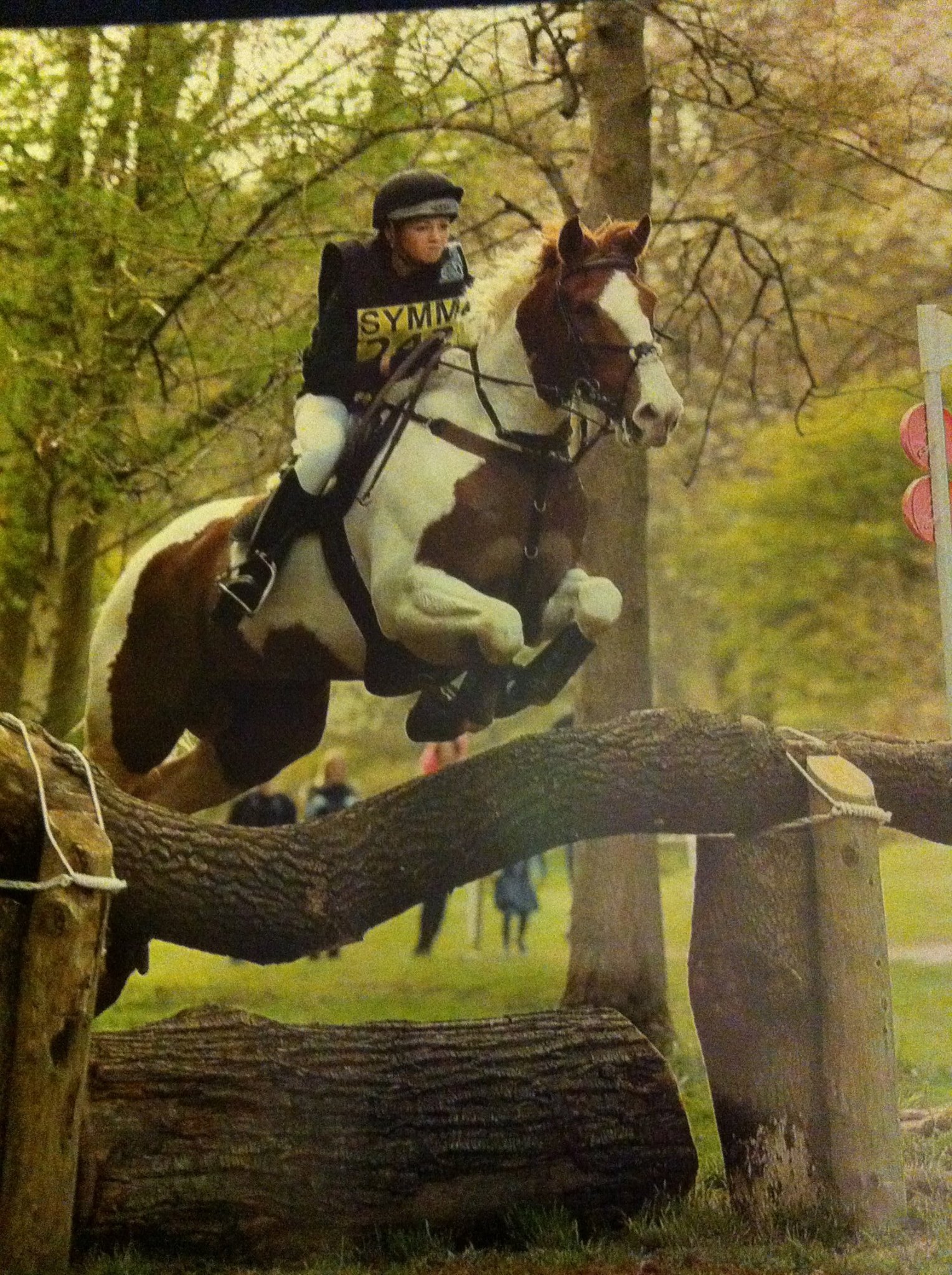 Skewbald eventing horse